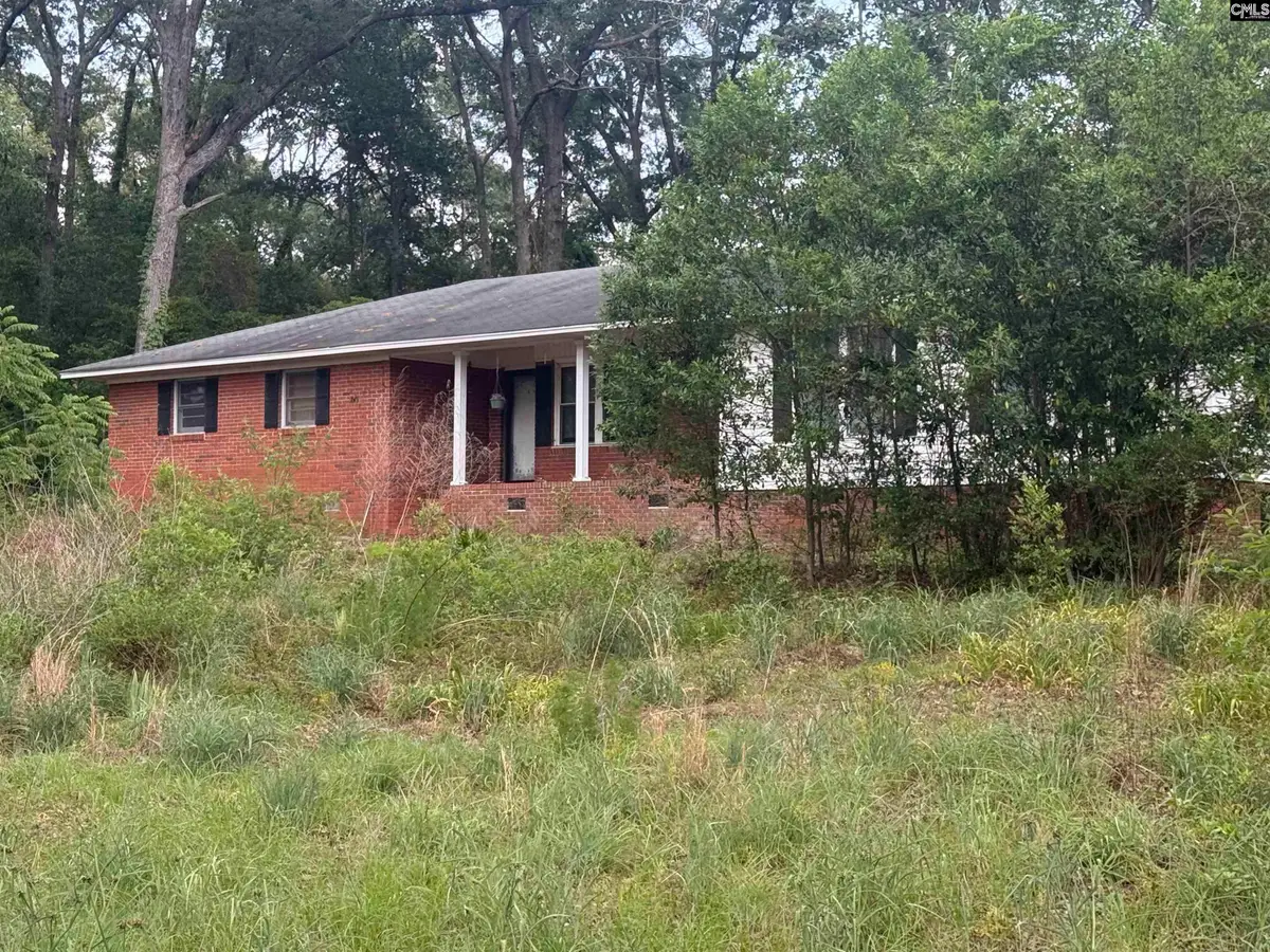 60 Savannah Road, Bishopville, SC 29010 - #1