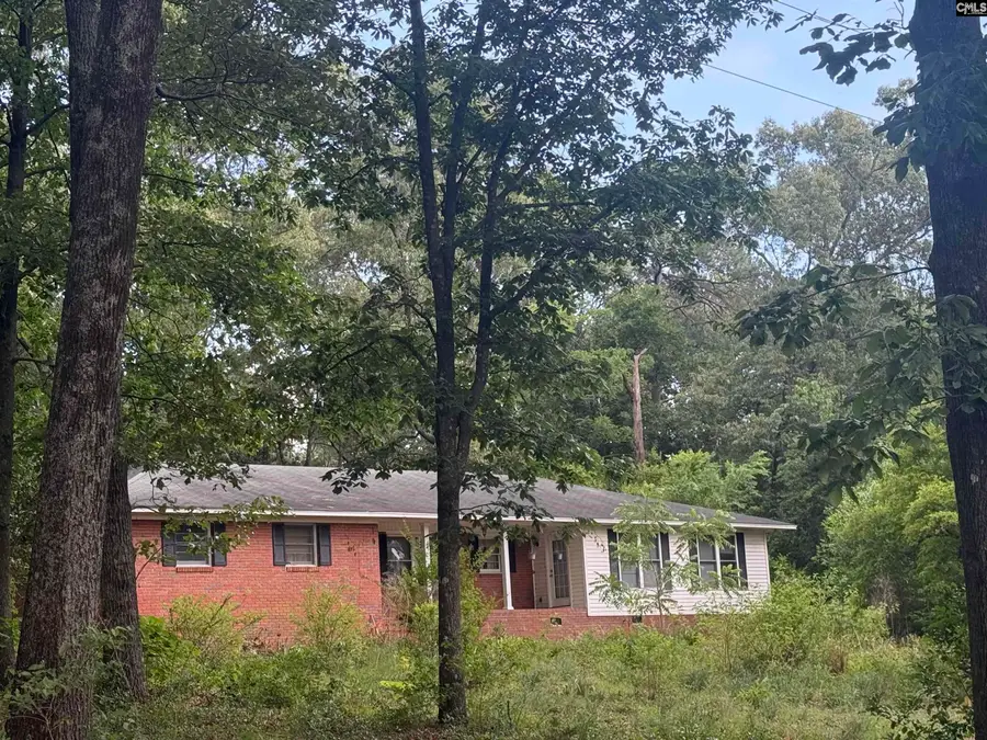 60 Savannah Road, Bishopville, SC 29010 - #2