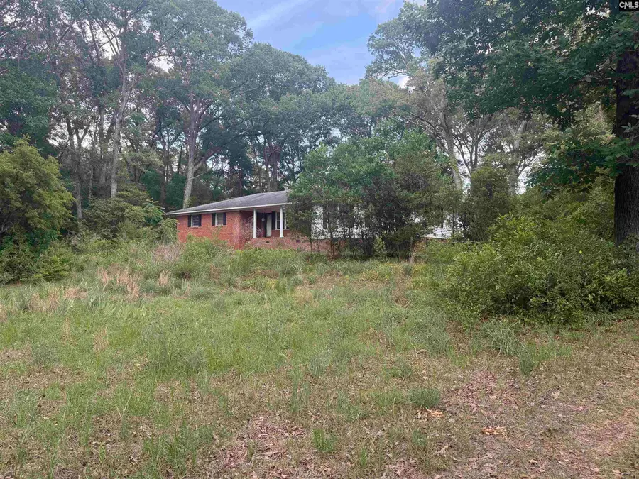 60 Savannah Road, Bishopville, SC 29010 - #3