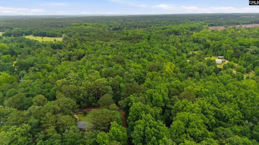 TBD Basil Road, Swansea, SC 29160 - #2