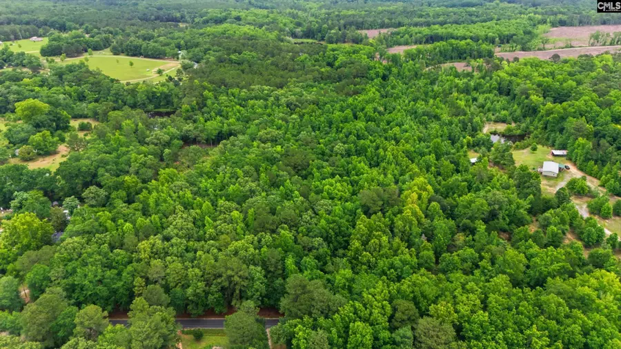 TBD Basil Road, Swansea, SC 29160 - #3