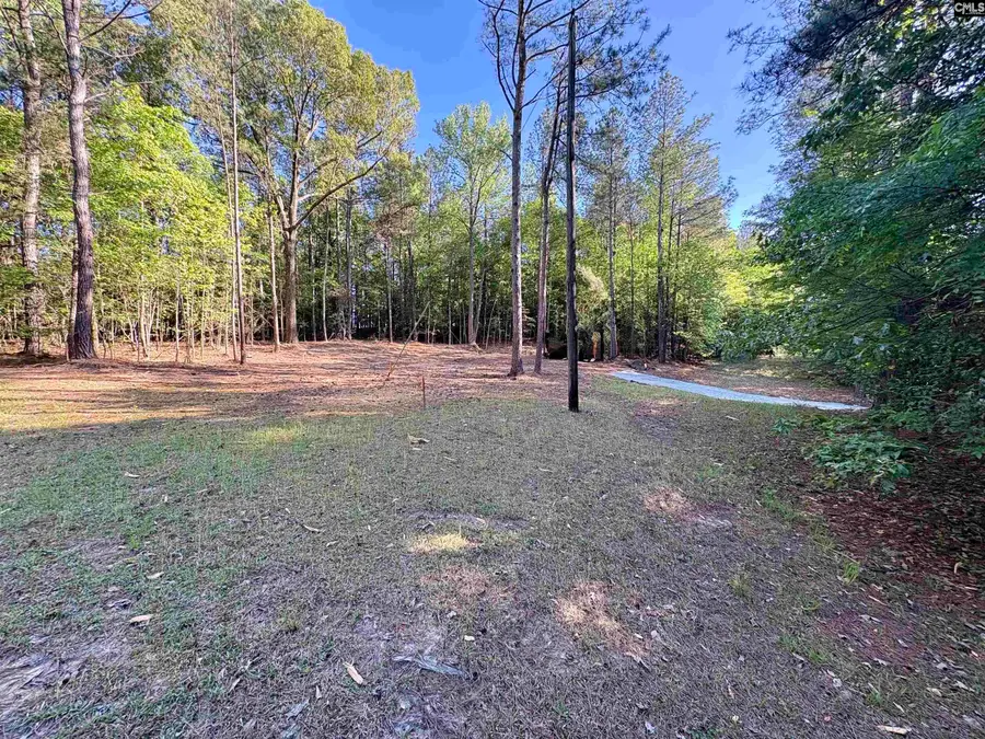 310 Douglas Road, Pomaria, SC 29126 - #2