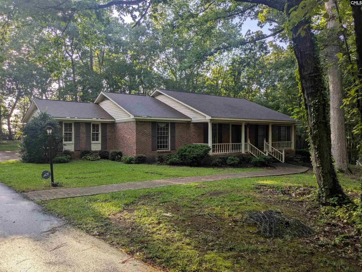 779 Hope Ferry Road, Lexington, SC 29072 - #1