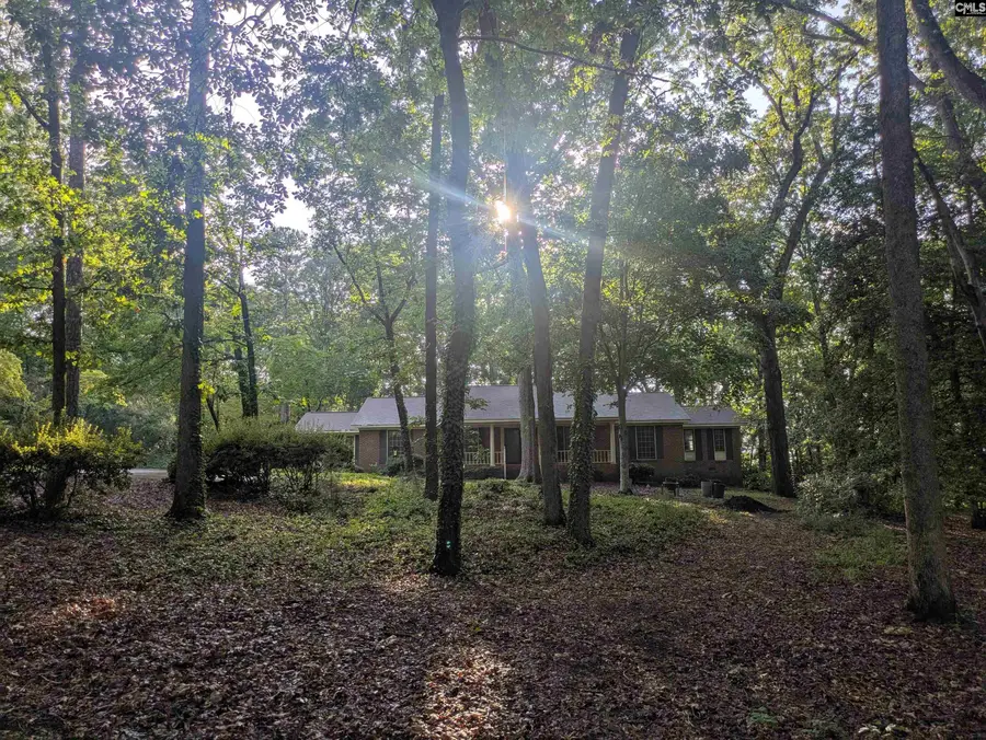 779 Hope Ferry Road, Lexington, SC 29072 - #3