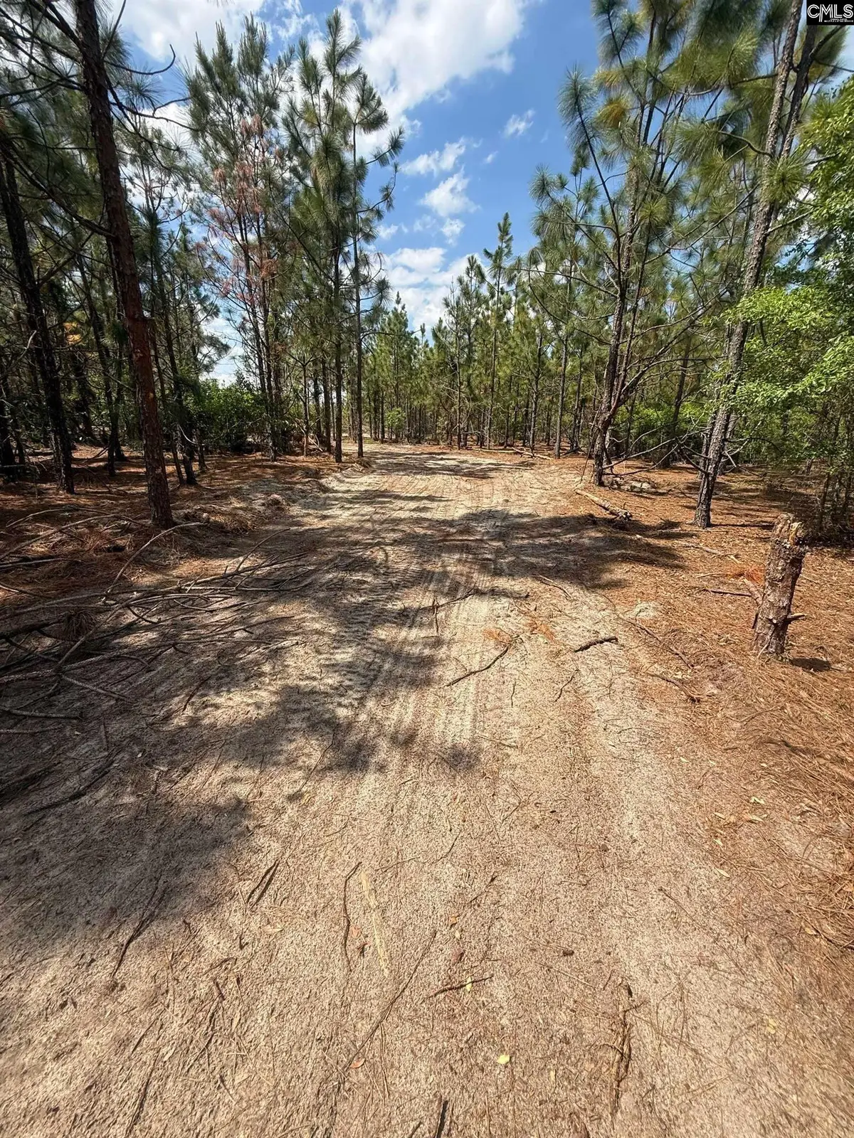350 Payne Pond Road #Lot  11, Westville, SC 29175 - #1