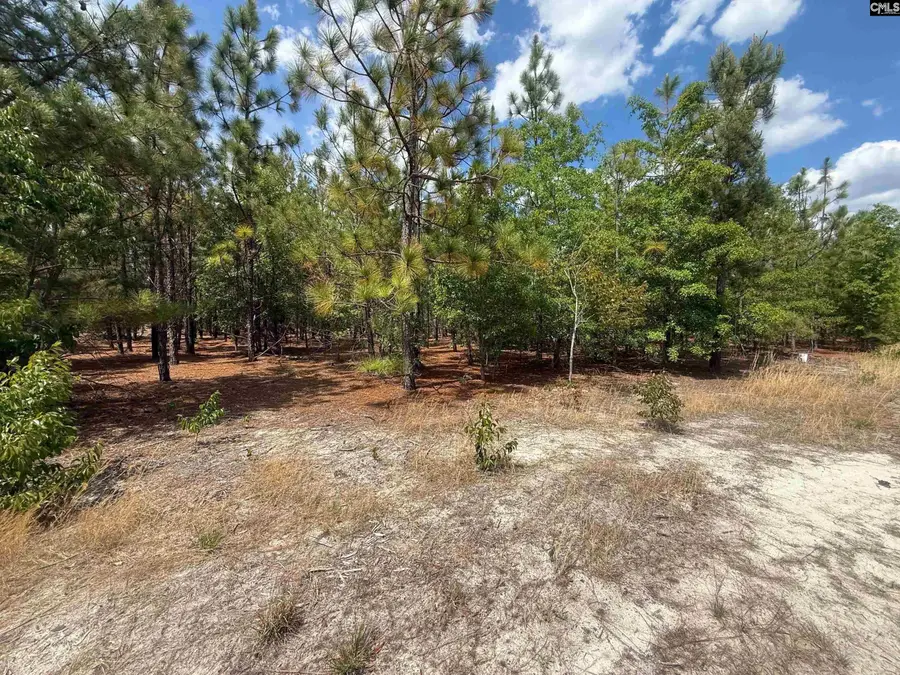 350 Payne Pond Road #Lot  11, Westville, SC 29175 - #3