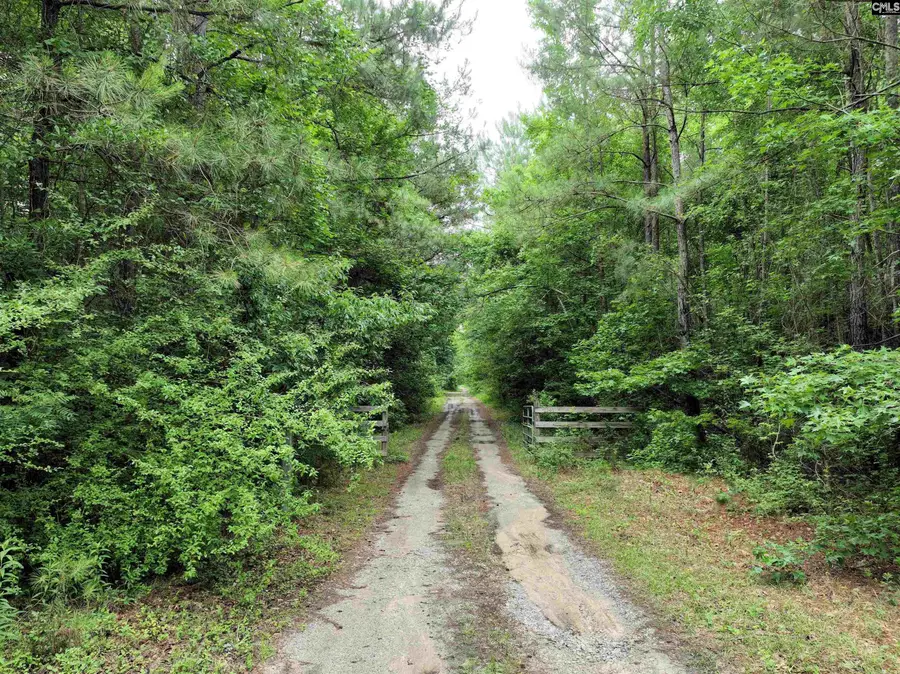 1141 Crosshill Road, Hopkins, SC 29061 - #3