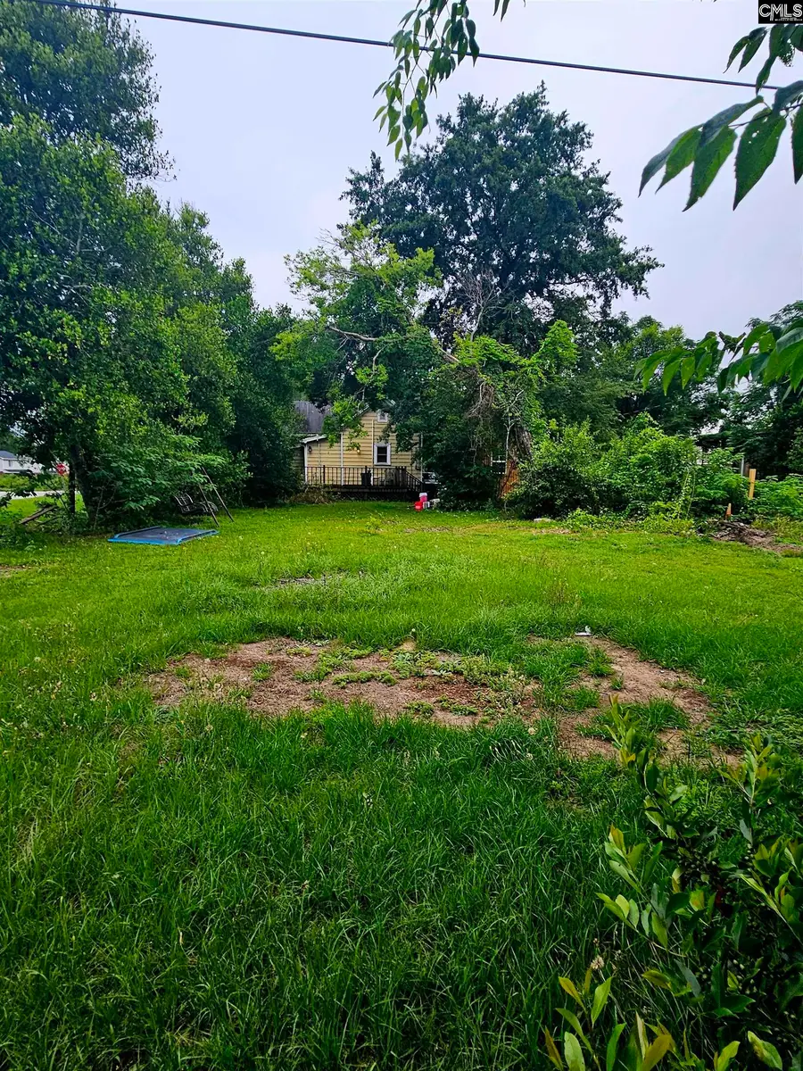 738 Center Street, West Columbia, SC 29169 - #3