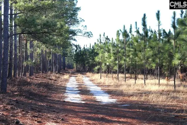 Holstein Road, Wagener, SC 29164