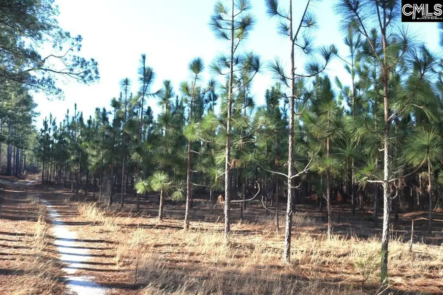 Holstein Road, Wagener, SC 29164 - #3