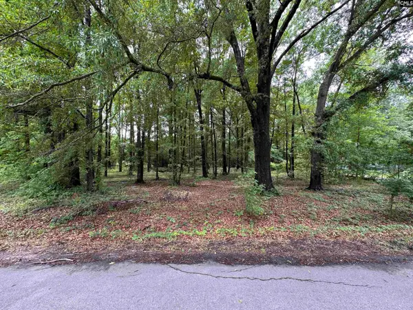 0 Sewanee Avenue, Cayce, SC 29033