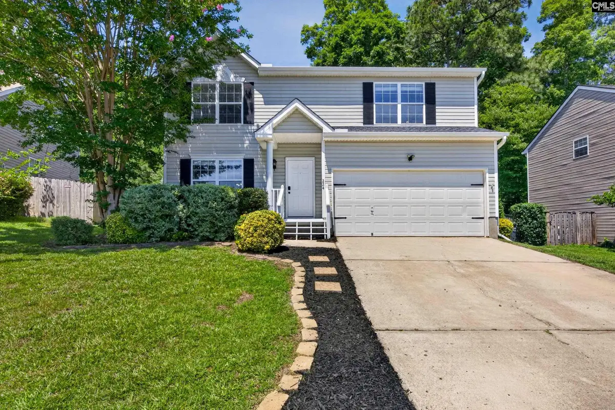 224 Walkbridge Way, Chapin, SC 29036 - #1