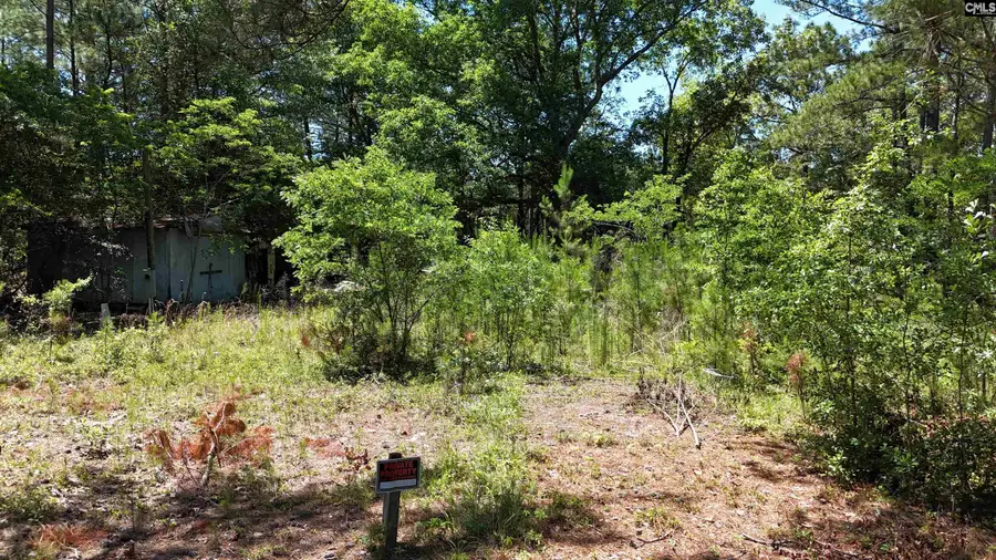 283 Cook Road, Lugoff, SC 29078 - #3