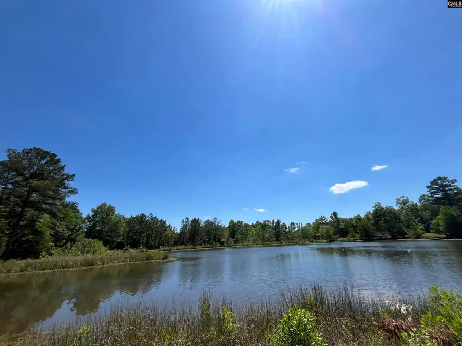 Lot 7 Glade Springs Road, Little Mountain, SC 29075 - #2
