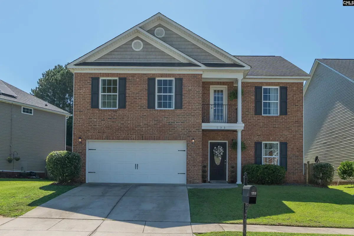 133 Palm St, Chapin, SC 29036 - #1