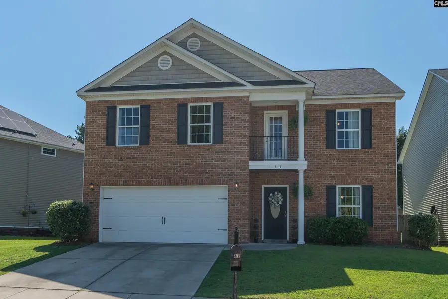 133 Palm St, Chapin, SC 29036 - #2