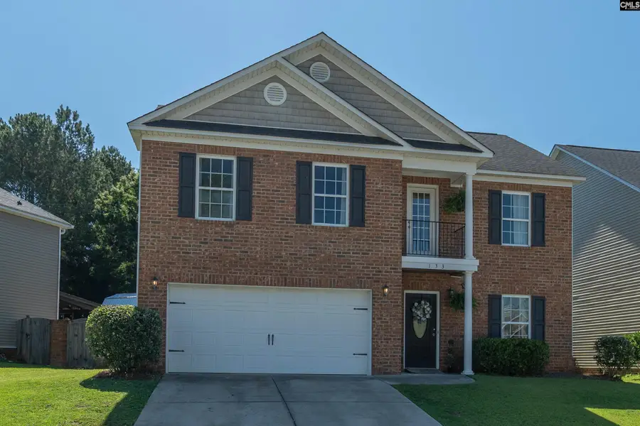 133 Palm St, Chapin, SC 29036 - #3