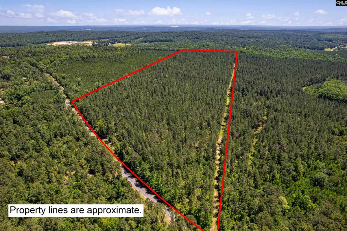 TBD Toms Creek Road, Horrell Hill, SC 28061 - #1