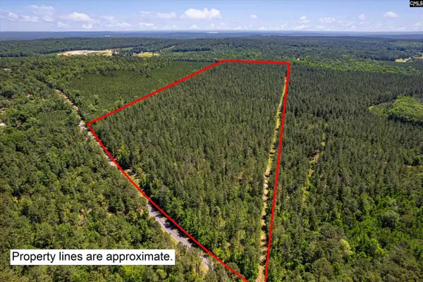 TBD Toms Creek Road, Hopkins, SC 28061