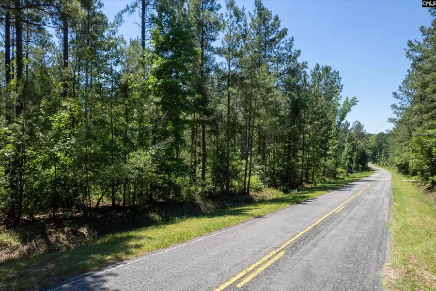 TBD Toms Creek Road, Horrell Hill, SC 28061 - #2