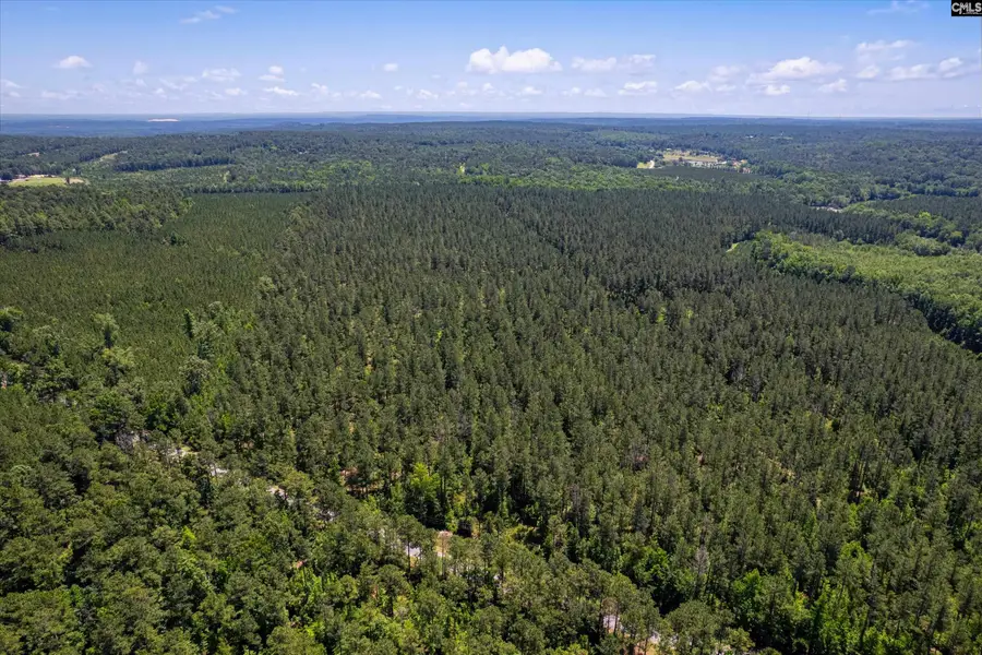 TBD Toms Creek Road, Horrell Hill, SC 28061 - #3