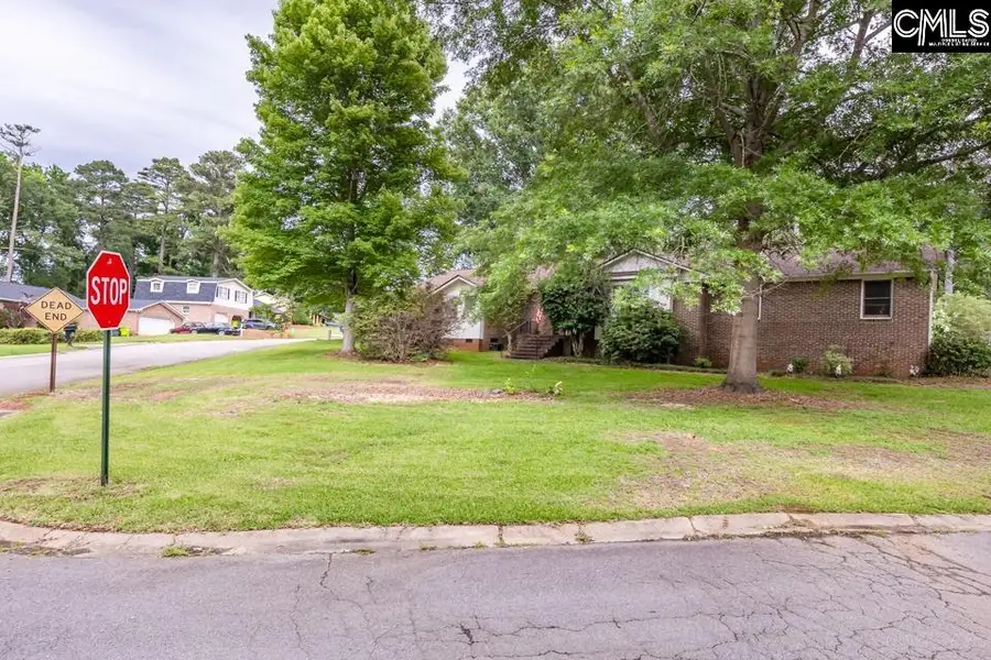 119 Bosworth Field Court, Columbia, SC 29212 - #3