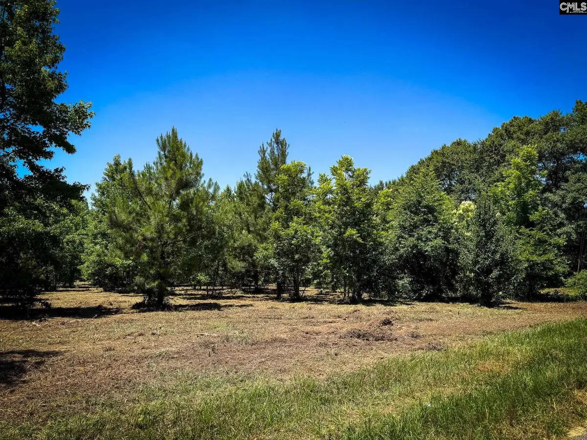 0 S Bethlehem Road #Lot 2, Batesburg, SC 29006 - #1