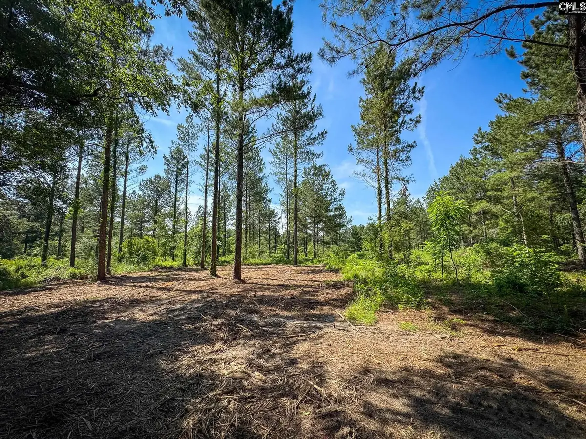 0 Lewis Waters Road #Lot 1, Leesville, SC 29070 - #1