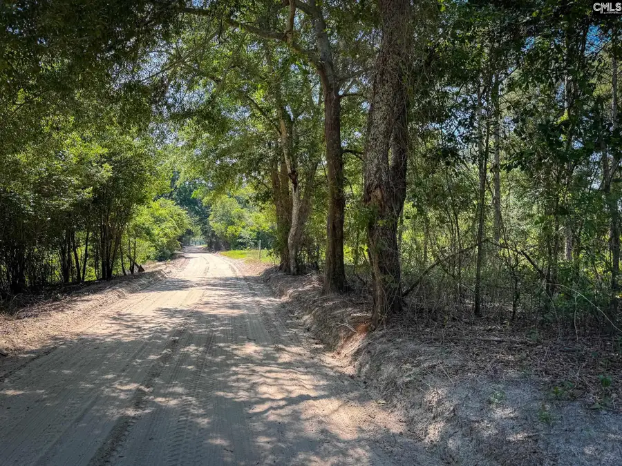 0 Lewis Waters Road #Lot 1, Leesville, SC 29070 - #2