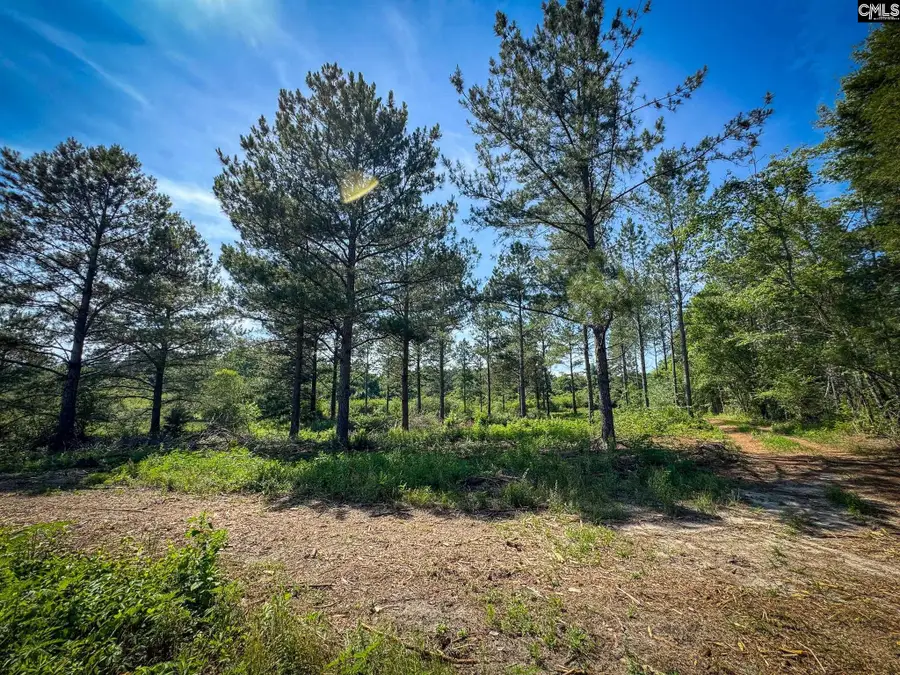 0 Lewis Waters Road #Lot 2, Leesville, SC 29070 - #2