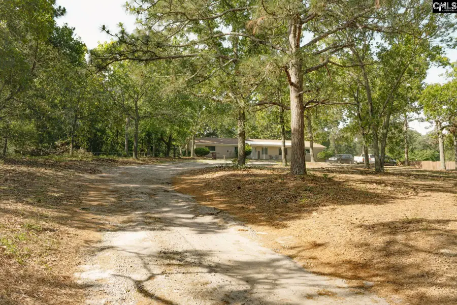 189 Crystal Springs Drive, Lexington, SC 29073 - #3
