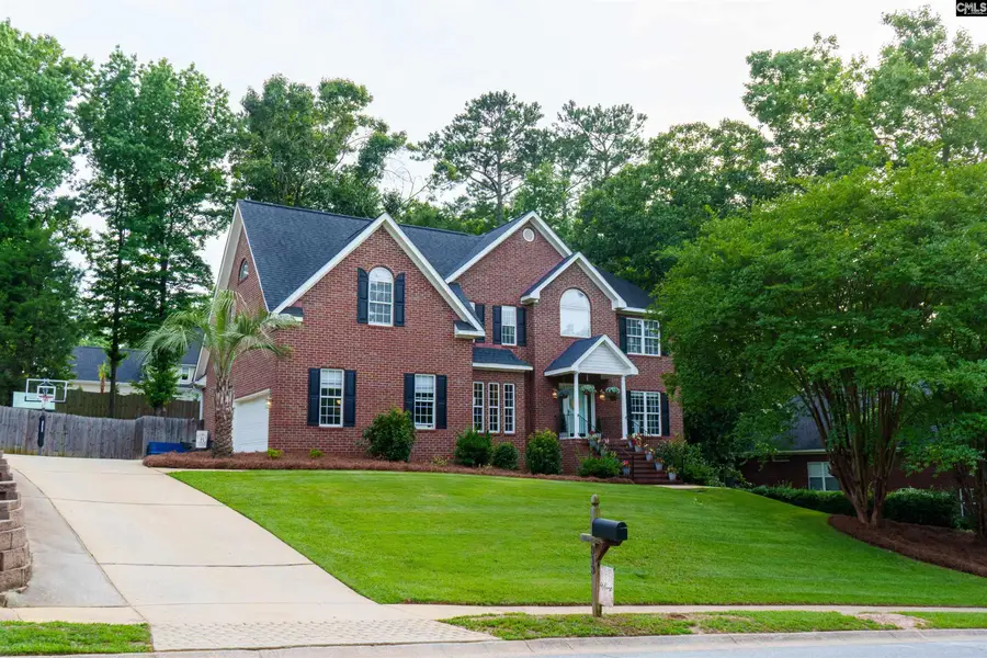 313 Carola Lane, Lexington, SC 29072 - #3