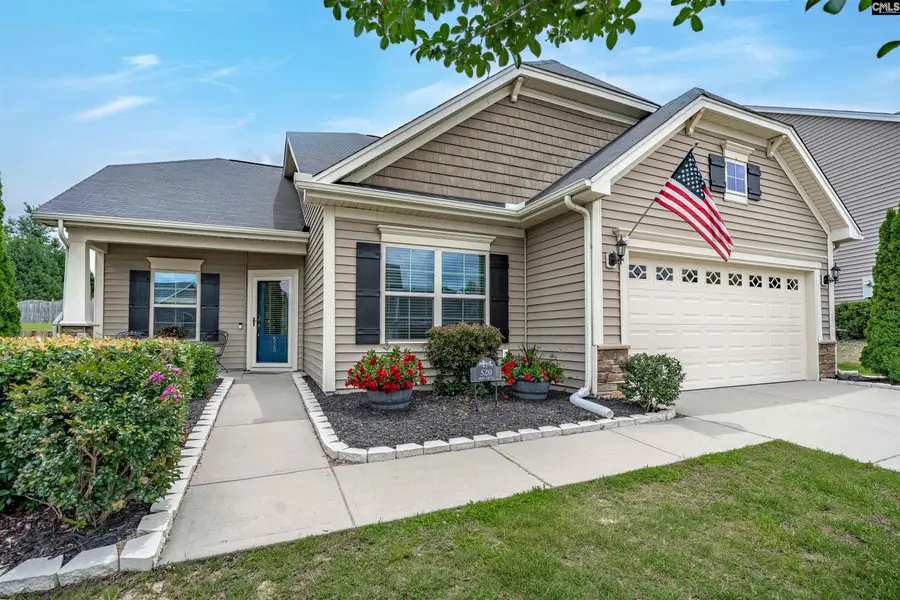520 Ariel Circle, Lexington, SC 29072 - #3