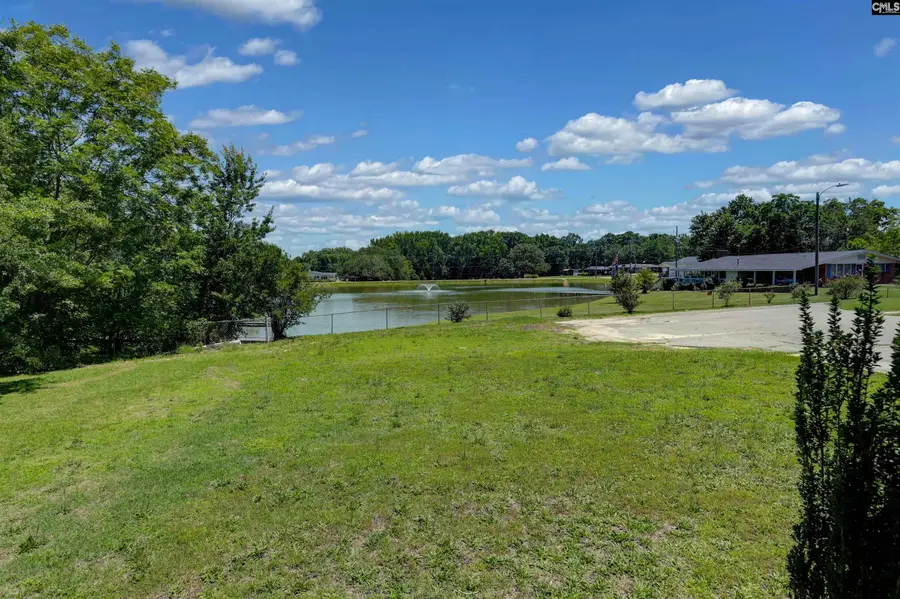 303 Nell Street, Batesburg, SC 29006 - #3