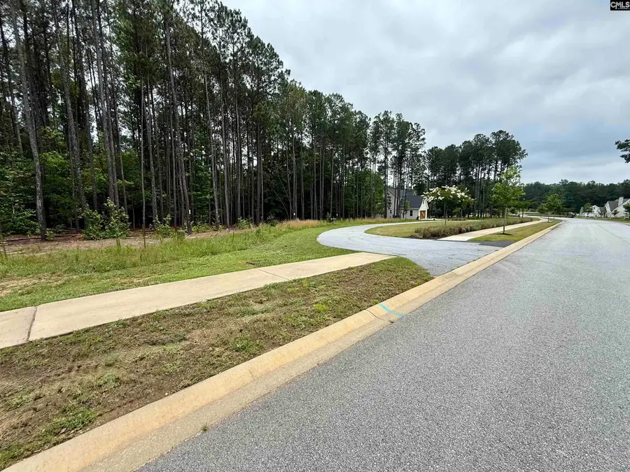 Lot 84 Timber Trail Lane, Prosperity, SC 29127 - #3