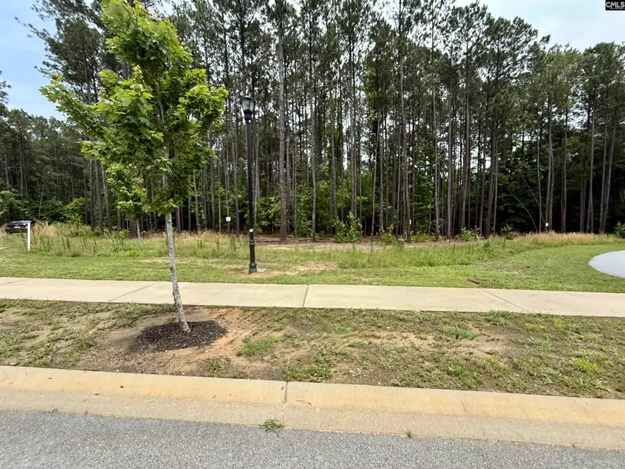 Lot 85 Timber Trail Lane, Prosperity, SC 29127 - #3