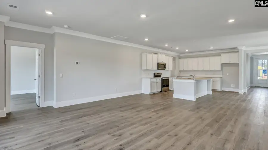 133 Sunny Stream Drive, Chapin, SC 29054 - #2