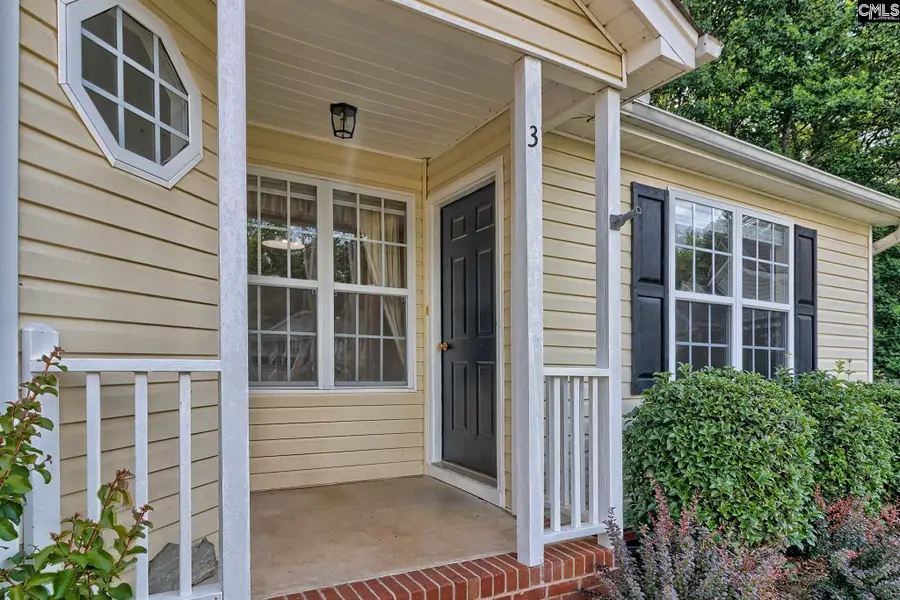 3 Careton Court, Chapin, SC 29036 - #2