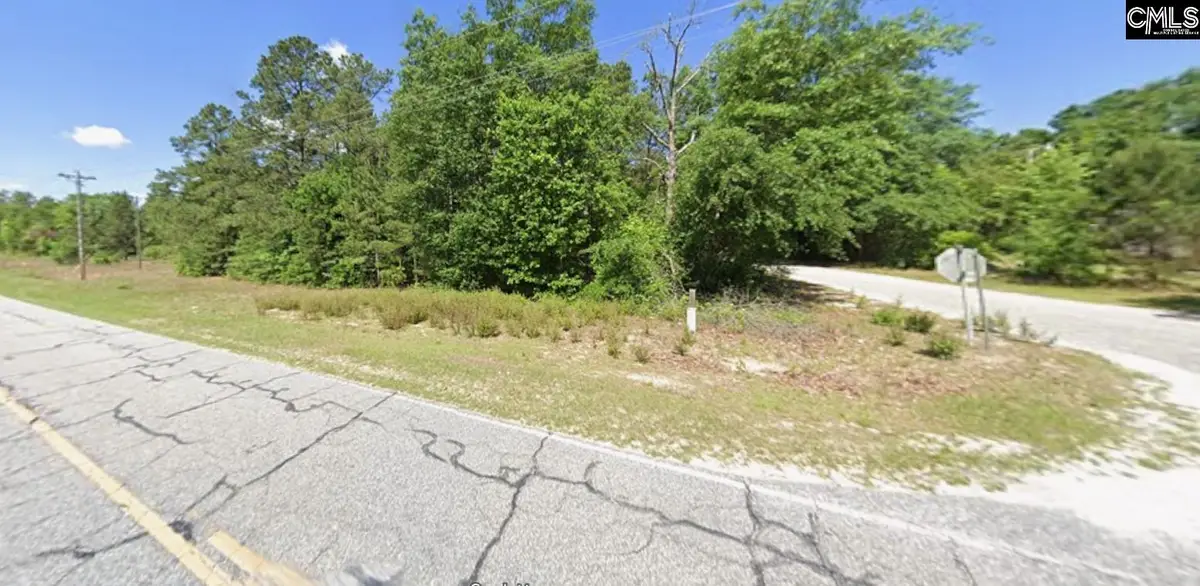 403 Gantt Street, Bethune, SC 29009 - #1