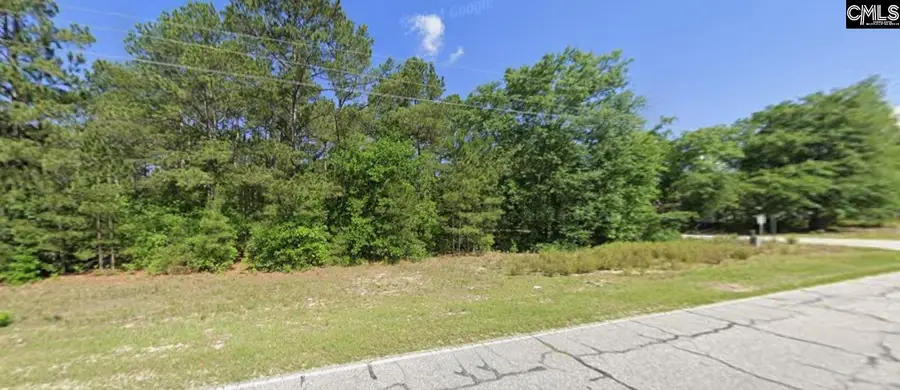 403 Gantt Street, Bethune, SC 29009 - #3