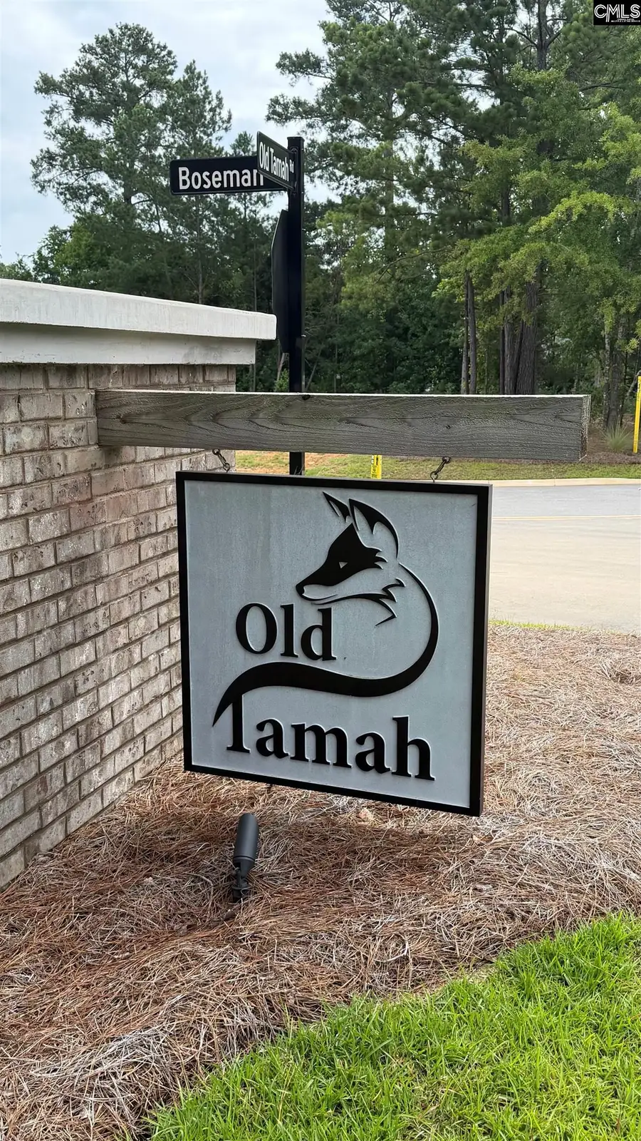 268 Boseman Road, Irmo, SC 29063 - #3