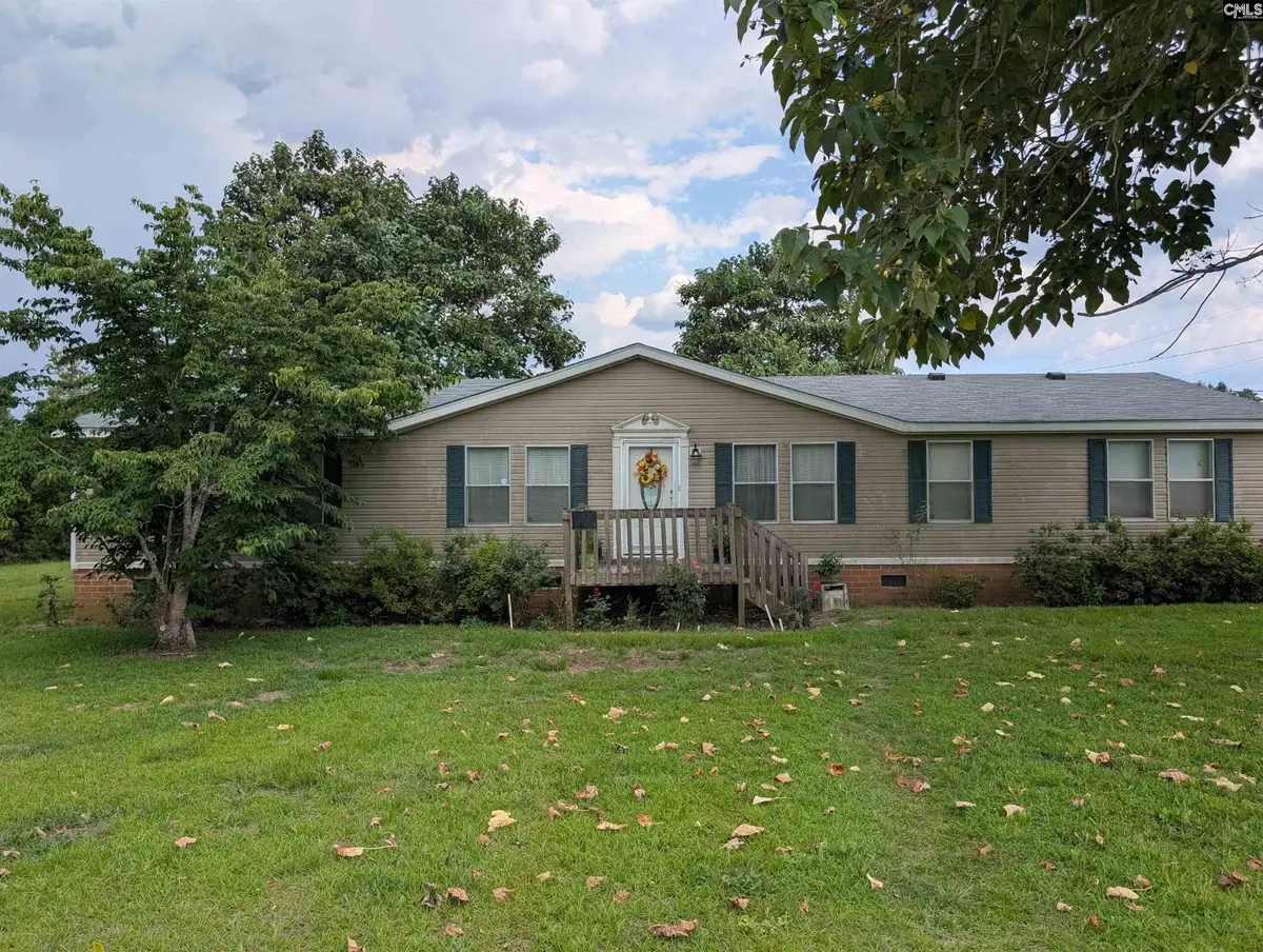 113 Hass Lucas Road, Gaston, SC 29053 - #1