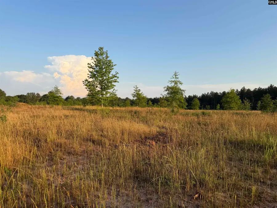 000 Livingston Road, Pomaria, SC 29126 - #2