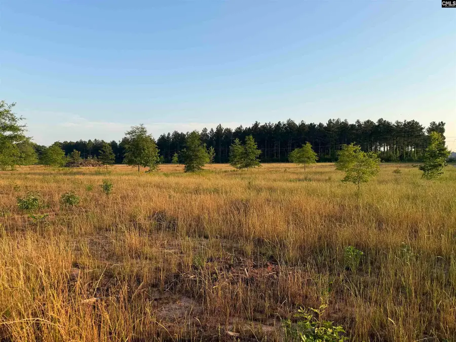 000 Livingston Road, Pomaria, SC 29126 - #3