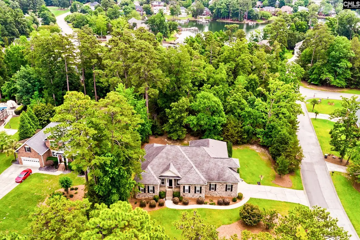 302 Lookout Hill Drive, Chapin, SC 29036 - #1