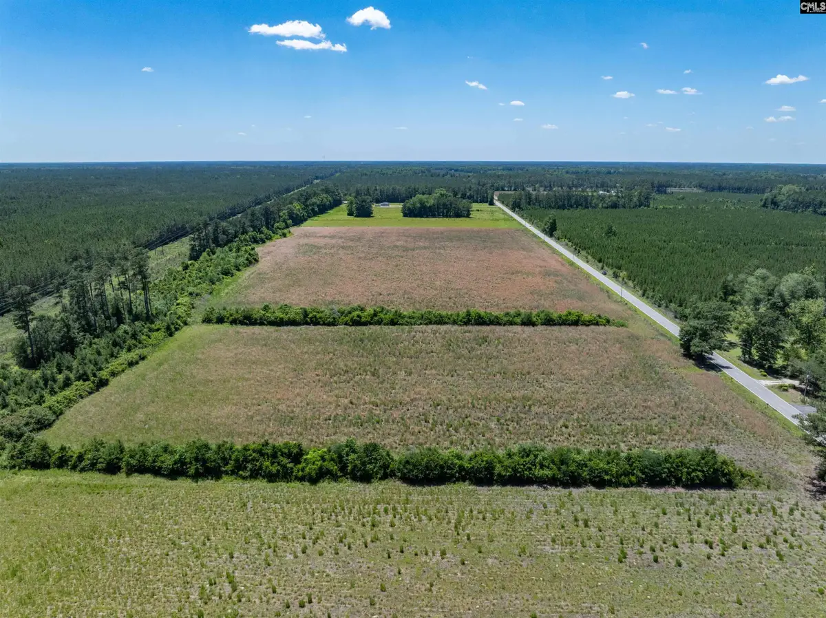 0000 Williams Hill Road #1, Hemingway, SC 29954 - #1