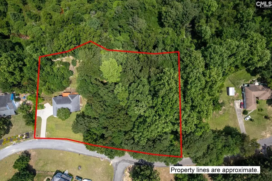 156 Crown Point Road, Lexington, SC 29073 - #2