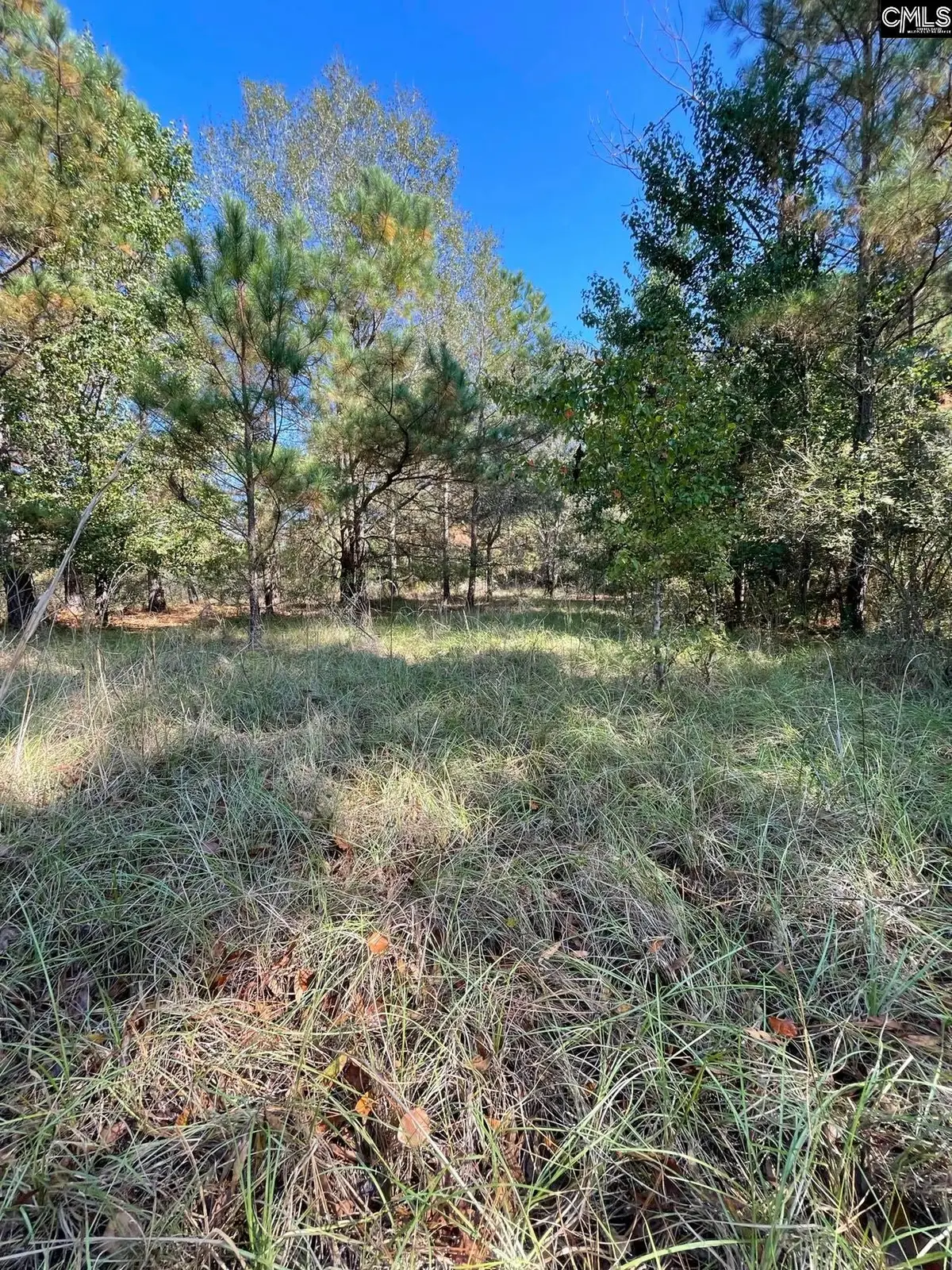 110 Willow Creek Boulevard, Lugoff, SC 29078 - #1