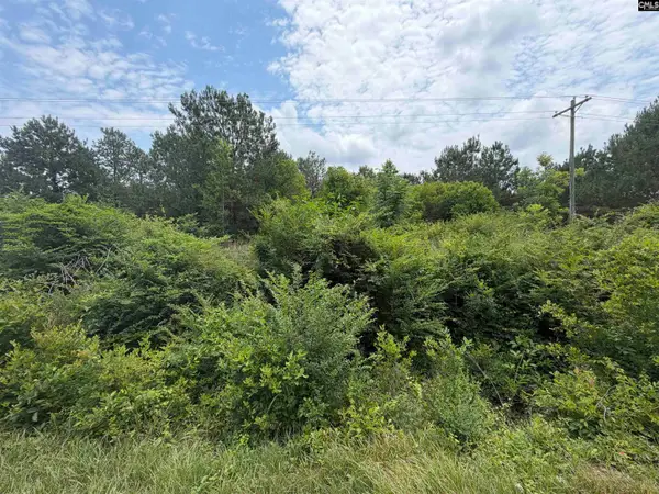 996 Corbett Mill Road, Bishopville, SC 29010