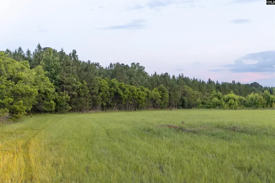 0 Rizer Cemetery Road, Ehrhardt, SC 29081 - #3
